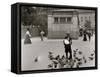 Feeding Pigeons-null-Framed Stretched Canvas
