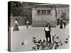 Feeding Pigeons-null-Stretched Canvas