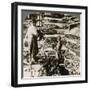 Feeding Silk Worms their Breakfast of Mulberry Leaves, Lebanon Mountains, Syria, 1900s-Underwood & Underwood-Framed Giclee Print