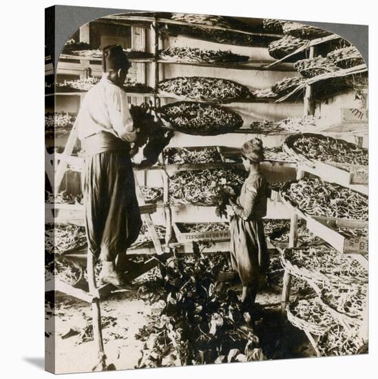 Feeding Silk Worms their Breakfast of Mulberry Leaves, Lebanon Mountains, Syria, 1900s-Underwood & Underwood-Stretched Canvas