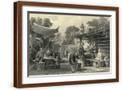 Brown Frame