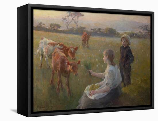 Feeding the Calves, 1906-Harold Harvey-Framed Stretched Canvas