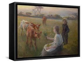 Feeding the Calves, 1906-Harold Harvey-Framed Stretched Canvas