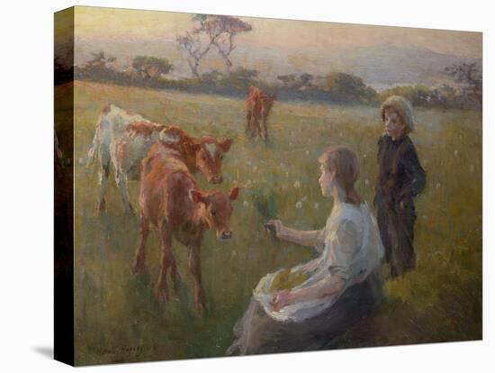 Feeding the Calves, 1906-Harold Harvey-Stretched Canvas