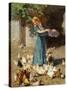 Feeding the Chickens-Luigi Rossi-Stretched Canvas