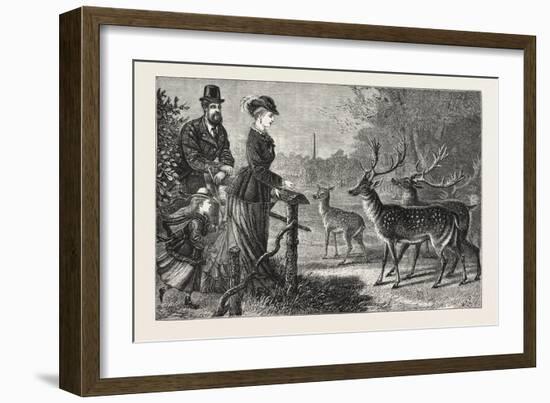 Feeding the Deer, Phoenix Park, Dublin, Ireland, 1876, Europe, European-null-Framed Giclee Print