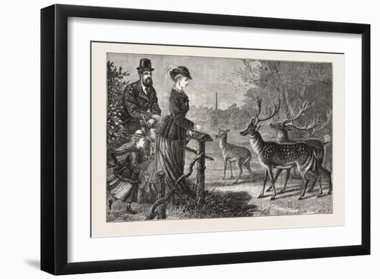 Feeding the Deer, Phoenix Park, Dublin, Ireland, 1876, Europe, European-null-Framed Giclee Print