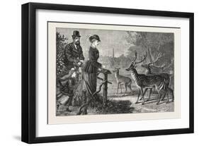 Feeding the Deer, Phoenix Park, Dublin, Ireland, 1876, Europe, European-null-Framed Giclee Print