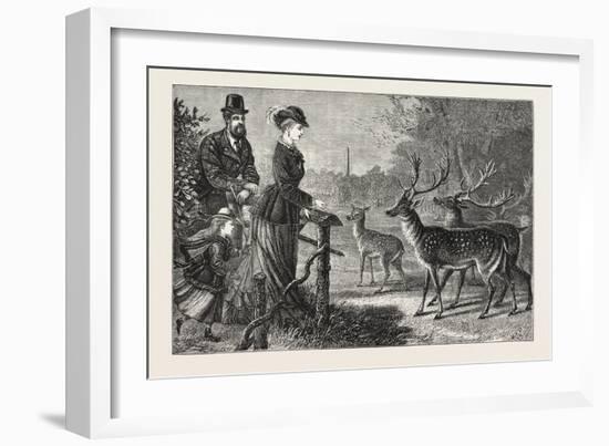 Feeding the Deer, Phoenix Park, Dublin, Ireland, 1876, Europe, European-null-Framed Giclee Print