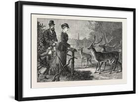 Feeding the Deer, Phoenix Park, Dublin, Ireland, 1876, Europe, European-null-Framed Giclee Print