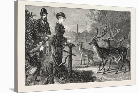 Feeding the Deer, Phoenix Park, Dublin, Ireland, 1876, Europe, European-null-Stretched Canvas