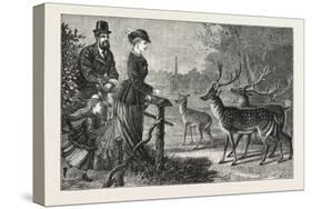 Feeding the Deer, Phoenix Park, Dublin, Ireland, 1876, Europe, European-null-Stretched Canvas