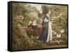 Feeding the Doves-F. Sydney Muschamp-Framed Stretched Canvas