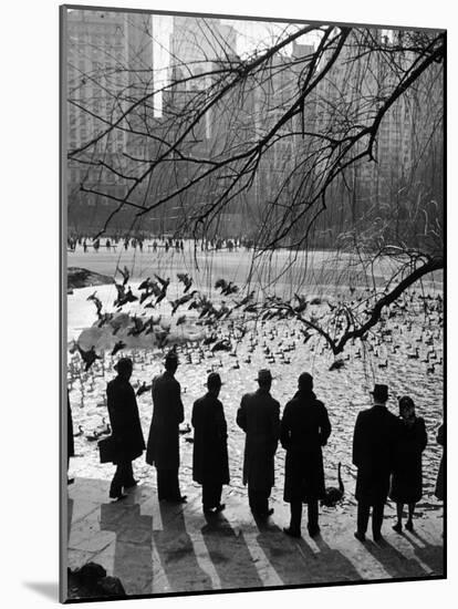 Feeding the Ducks and Swans in Central Park on a Sunday Afternoon-Andreas Feininger-Mounted Photographic Print