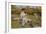 Feeding the Ducks-Edward Killingworth Johnson-Framed Giclee Print