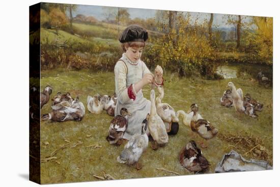 Feeding the Ducks-Edward Killingworth Johnson-Stretched Canvas