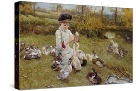 Feeding the Ducks-Edward Killingworth Johnson-Stretched Canvas