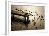 Feeding the Geese II-Alan Hausenflock-Framed Photographic Print