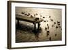 Feeding the Geese II-Alan Hausenflock-Framed Photographic Print