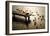 Feeding the Geese II-Alan Hausenflock-Framed Photographic Print