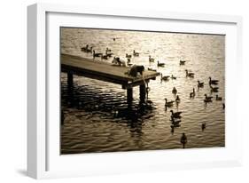 Feeding the Geese II-Alan Hausenflock-Framed Photographic Print