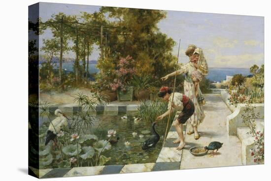 Feeding the Ibis at Corsica-William Stephen Coleman-Stretched Canvas