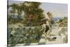 Feeding the Ibis at Corsica-William Stephen Coleman-Stretched Canvas