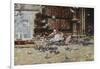 Feeding the Pigeons, St. Mark's Square, Venice-Lieven Herremans-Framed Giclee Print