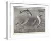 Feeding the Porpoises at the Brighton Aquarium-Samuel Read-Framed Giclee Print