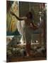 Feeding the Sacred Ibis in the Halls of Karnak Par Poynter, Edward John (1836-1919), 1871 - Oil on-Edward John Poynter-Mounted Giclee Print