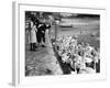 Feeding the Swans-null-Framed Photographic Print