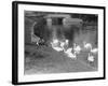 Feeding the Swans-null-Framed Photographic Print