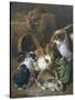 Feeding Time-Alfred Barber-Stretched Canvas