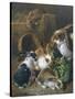 Feeding Time-Alfred Barber-Stretched Canvas