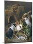 Feeding Time-Alfred Barber-Mounted Giclee Print