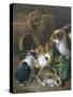 Feeding Time-Alfred Barber-Stretched Canvas