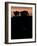 Feedlot Cattle Stand on a Mound at Sunset at the Hereford Feedlot-null-Framed Photographic Print