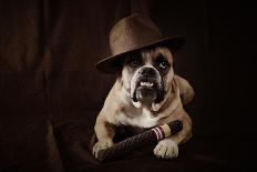 Bulldog With Hat And Cigar-feeferlump-Framed Stretched Canvas