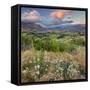 Feehly Hill Scenic Reserve, Arrowtown, Otago, South Island, New Zealand-Rainer Mirau-Framed Stretched Canvas