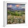 Feehly Hill Scenic Reserve, Arrowtown, Otago, South Island, New Zealand-Rainer Mirau-Framed Photographic Print