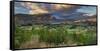 Feehly Hill Scenic Reserve, Arrowtown, Otago, South Island, New Zealand-Rainer Mirau-Framed Stretched Canvas