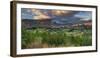 Feehly Hill Scenic Reserve, Arrowtown, Otago, South Island, New Zealand-Rainer Mirau-Framed Photographic Print