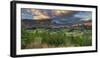 Feehly Hill Scenic Reserve, Arrowtown, Otago, South Island, New Zealand-Rainer Mirau-Framed Photographic Print