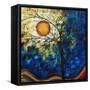 Feel The Sensation-Megan Aroon Duncanson-Framed Stretched Canvas