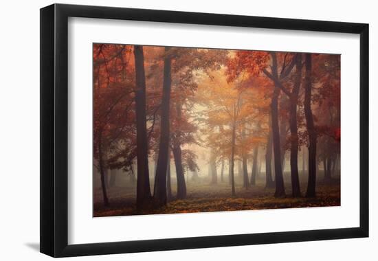 Feel-Ildiko Neer-Framed Giclee Print