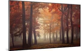 Feel-Ildiko Neer-Mounted Giclee Print