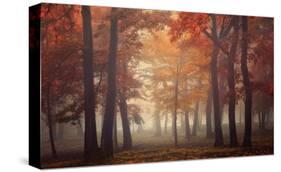 Feel-Ildiko Neer-Stretched Canvas