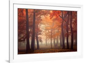 Feel-Ildiko Neer-Framed Photographic Print