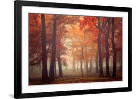 Feel-Ildiko Neer-Framed Photographic Print