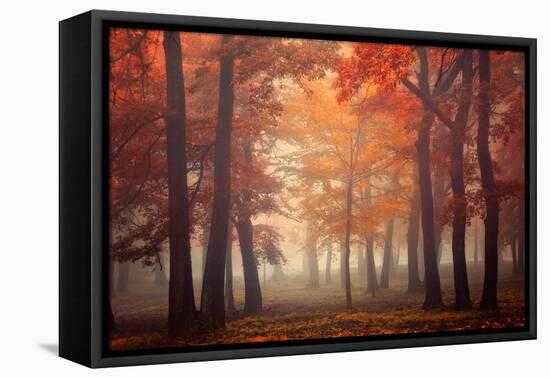 Feel-Ildiko Neer-Framed Stretched Canvas